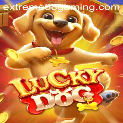 Discover the Thrilling World of LuckyDog at EXTREME88 Casino