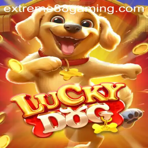 Discover the Thrilling World of LuckyDog at EXTREME88 Casino
